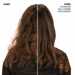 Masque Anti-Frisottis Frizz Dismiss Redken 250ml -Style & Brillance 3474636961030 2 1 09650.1694783020