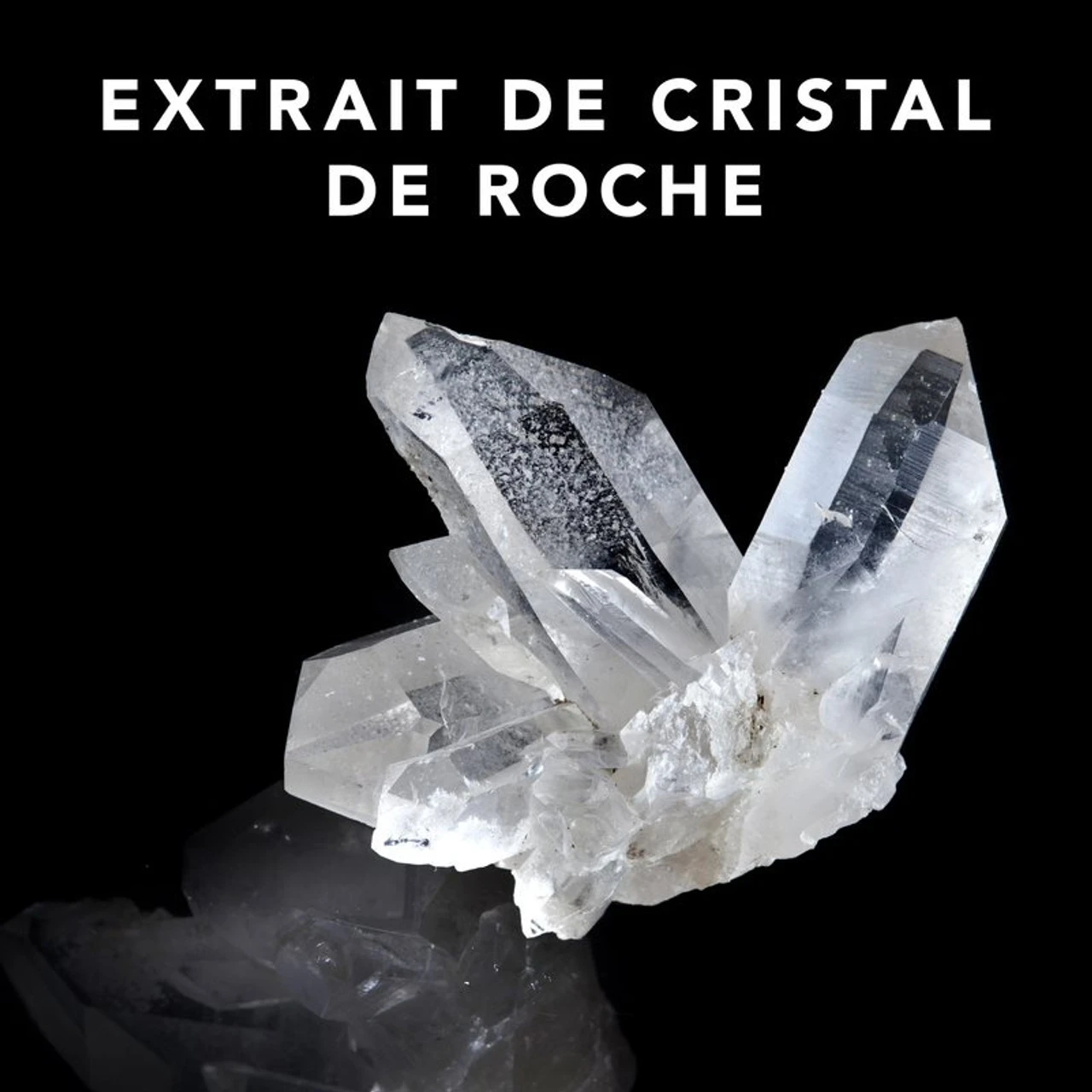 Trilliant Sebastian 150ml 5 Trilliant Sebastian 150ml – Image 3