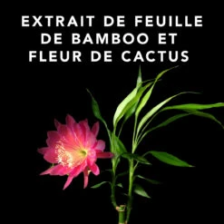 Volupt Spray Sebastian 150ml 9 Volupt Spray Sebastian 150ml -Style & Brillance 52361 4 35228.1688735230