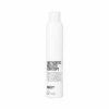 Spray Fixation Forte Authentic Beauty Concept 300ml -Style & Brillance Spray Fixation Forte Authentic Beauty Concept 91826.1693396214