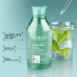 Shampoing Amino-Mint Redken 300ml -Style & Brillance amino 37548.1694765719